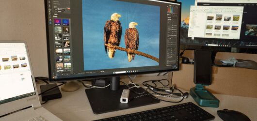 Melhor Monitor até R$ 1.000 em 2026: As 3 Opções Que Valem a Pena
